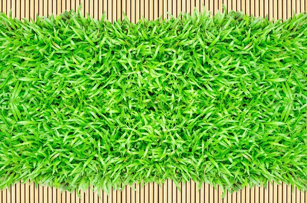 Moldura de grama no fundo de bambu — Fotografia de Stock