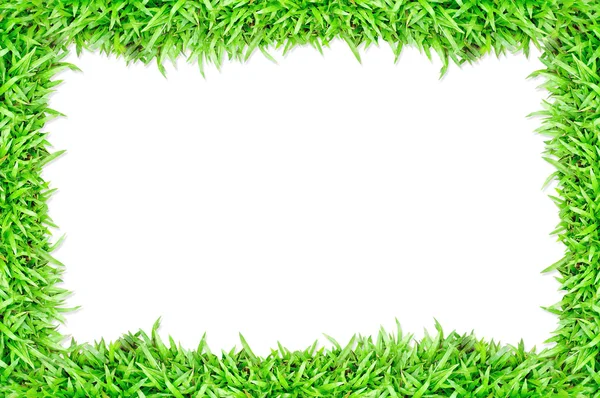 Quadro de grama em fundo branco — Fotografia de Stock