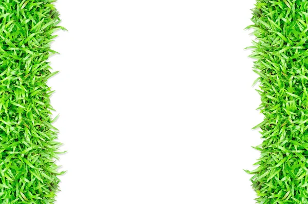 Gräs ram i vit bakgrund — Stockfoto