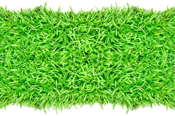 Quadro de grama em fundo branco — Fotografia de Stock