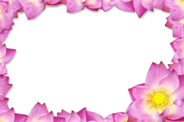Růžový lotos rámečku pozadí. Royalty Free Stock Fotografie