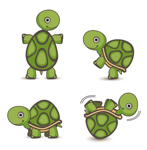 海龟套 — 图库矢量图片