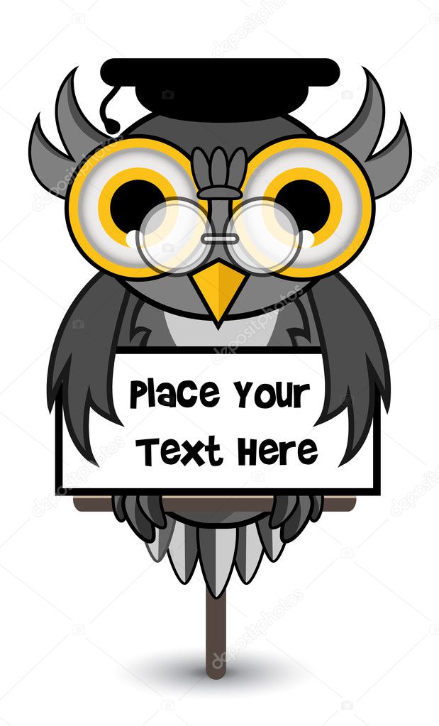Wise owl banner
