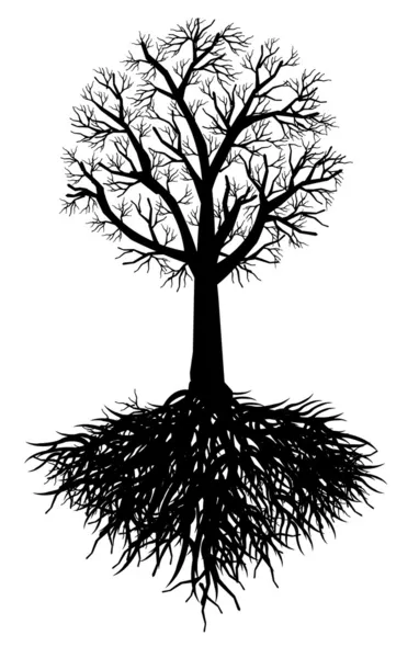 Tree root vector — Stockvector