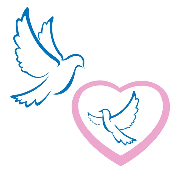 鳩の愛のシンボル — ストックベクタ