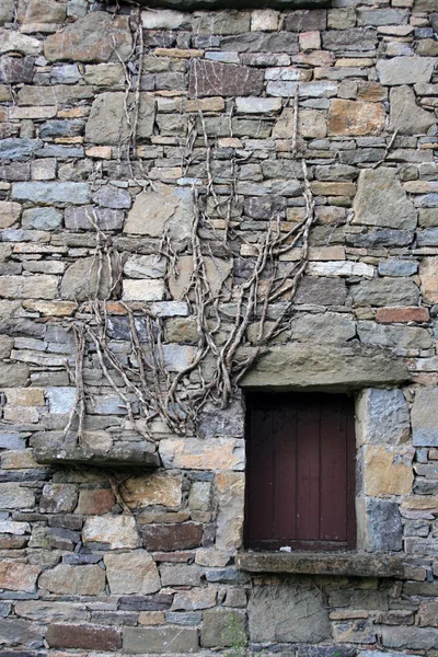 돌에 Branchs — 스톡 사진