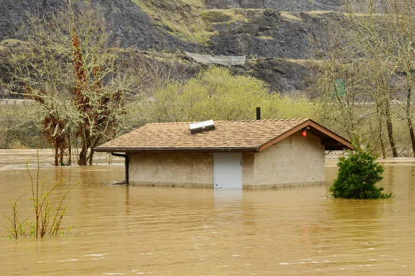 Baño Inundación — Foto de Stock