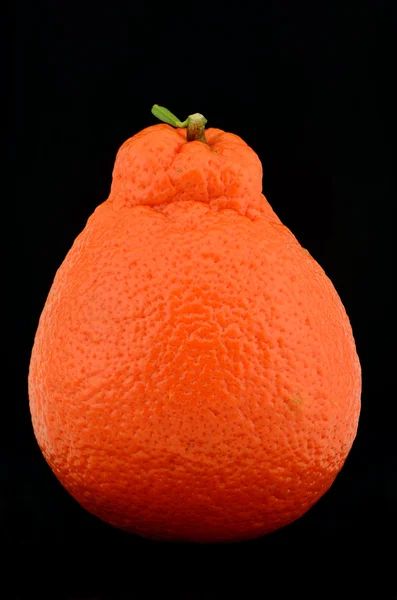 Jiné-citrusové plody — Stock fotografie