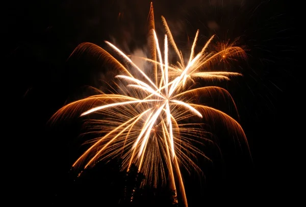 Fireworks spricker i luften — Stockfoto
