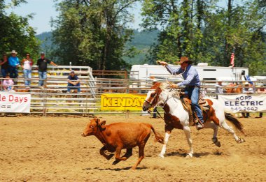 Rodeo eğlenceli