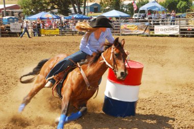 Rodeo Fun clipart