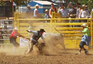 Rodeo eğlenceli