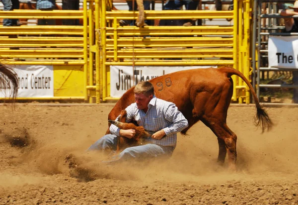 Rodeo kul — Stockfoto