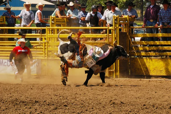Rodeo-Spaß — Stockfoto