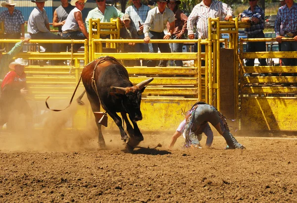 Rodeo eğlenceli — Stok fotoğraf