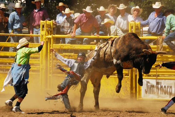 Zabawa Rodeo — Zdjęcie stockowe