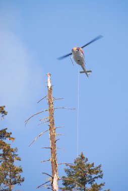 Yangın helikopteri