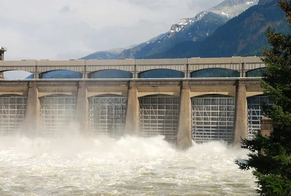 Bonneville Dam — Stock Photo, Image