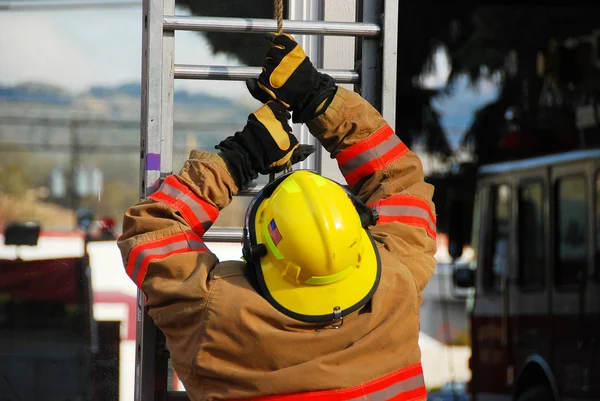 Ladder Raise — Stock Photo, Image