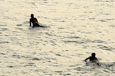 Pasifik surfers