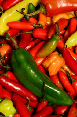 Spicy peppers clipart