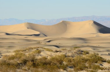 Mesquite tepeleri