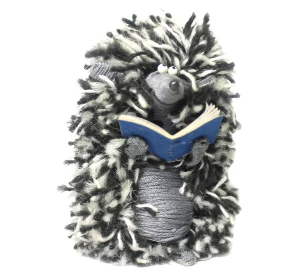 Toy hedgehog with a book — Stock Photo, Image