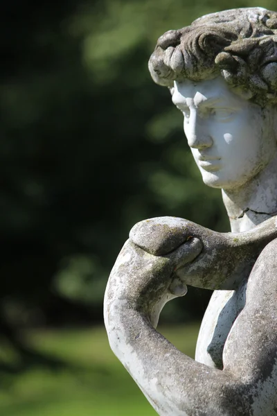 Statue in the garden — Stock Photo, Image