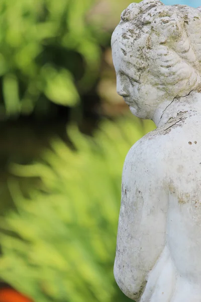 Статуя в саду — стоковое фото