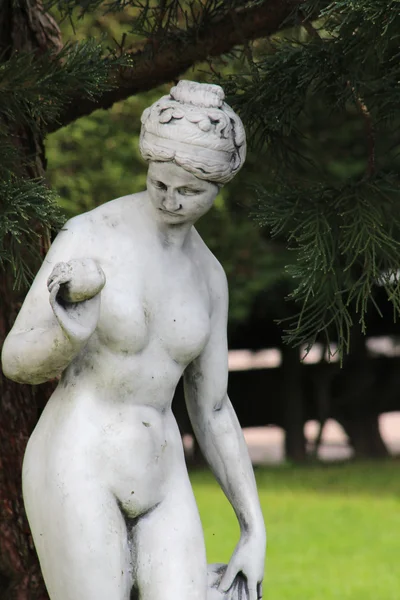 Uma bela estátua no jardim — Fotografia de Stock