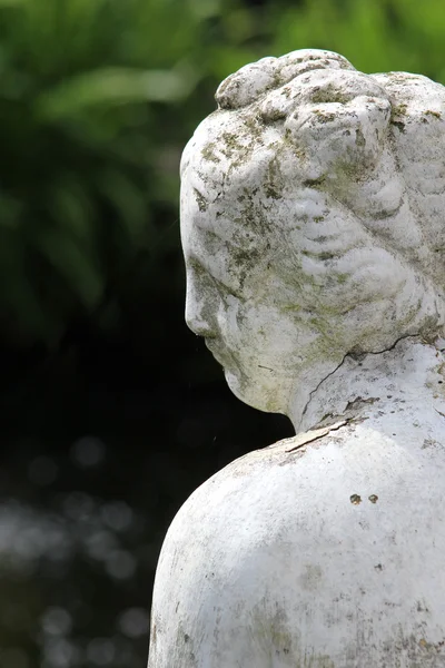 庭の美しい彫像 — ストック写真