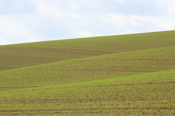 Fields of landscape in Germany — Stock Photo, Image