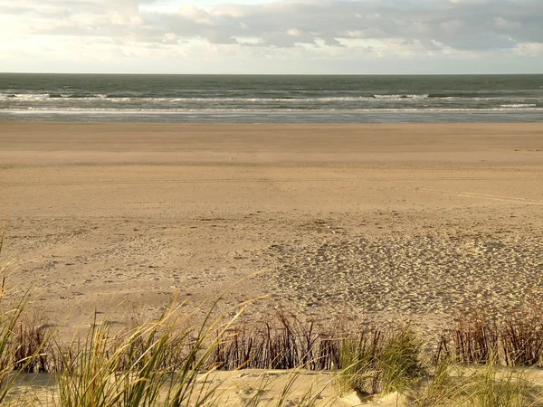 Noordzee duinen — Stockfoto