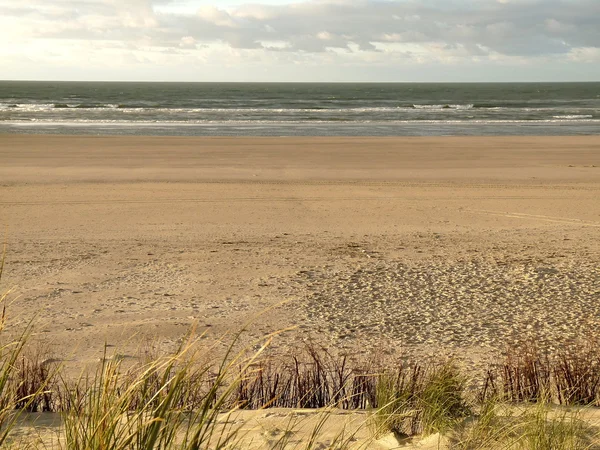 北の海の砂丘 — ストック写真
