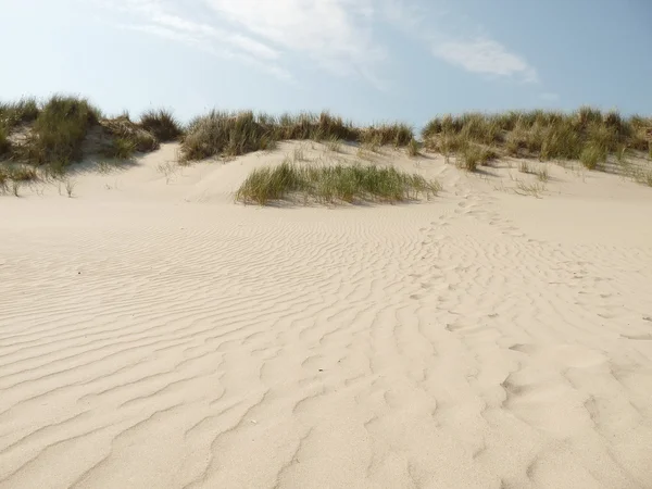 Playa del mar del Norte en la isla ameland en Holanda — Foto de Stock