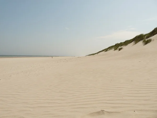 Plaż Morza Północnego, na wyspie ameland w Holandii — Zdjęcie stockowe