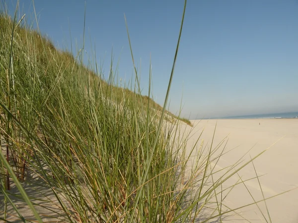 Praia do mar do Norte na ilha ameland na Holanda — Fotografia de Stock