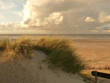 Kuzey Denizi dunes günbatımında Adası Ameland, Hollanda