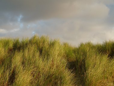 Kuzey Denizi dunes günbatımında Adası Ameland, Hollanda