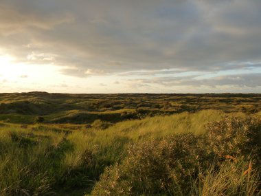 Kuzey Denizi dunes günbatımında Adası Ameland, Hollanda