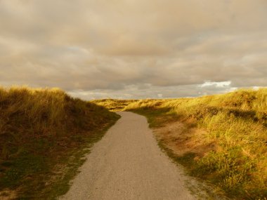 Kuzey Denizi dunes günbatımında Adası Ameland, Hollanda