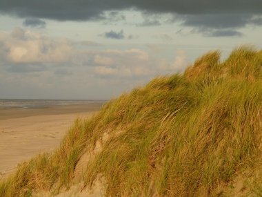 Kuzey Denizi dunes günbatımında Adası Ameland, Hollanda