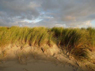 Kuzey Denizi dunes günbatımında Adası Ameland, Hollanda