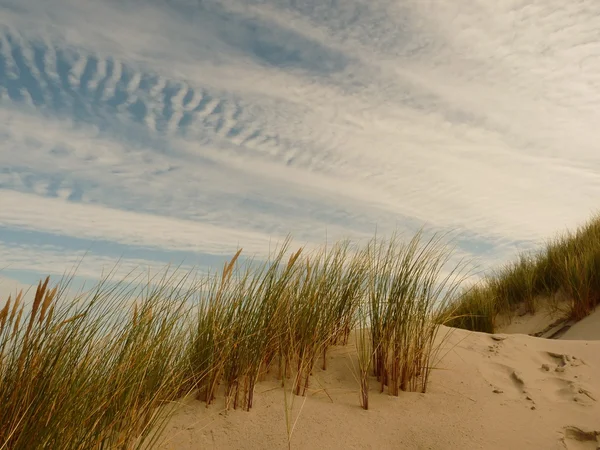 Praia do mar do norte no por do sol na ilha ameland em holland — Fotografia de Stock