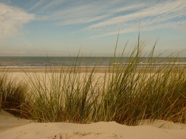 Playa del mar del Norte en el atardecer en la isla ameland en Holanda — Foto de Stock