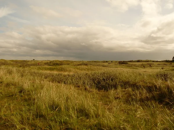 日落在岛 ameland 在荷兰的北海沙丘 — 图库照片