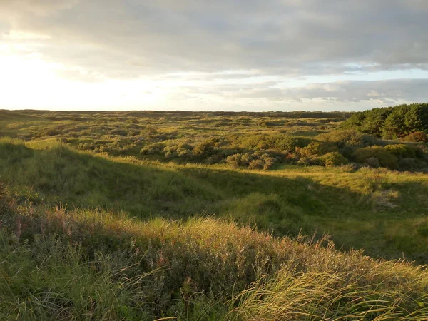 North sea dunes in the sunset on the island ameland in holland — Stock Photo, Image