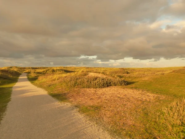 Dunes de la mer du Nord au coucher du soleil sur l'île d'Ameland aux Pays-Bas — Photo