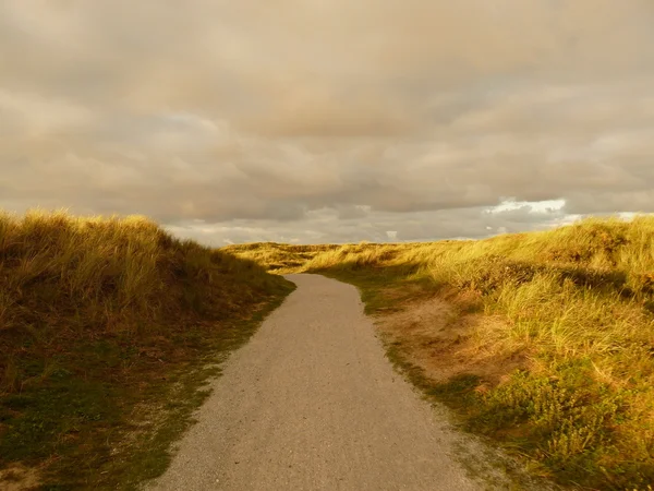Kuzey Denizi dunes günbatımında Adası Ameland, Hollanda — Stok fotoğraf