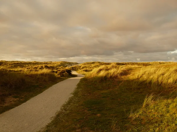 Dunas do mar do norte no por do sol na ilha ameland em holland — Fotografia de Stock